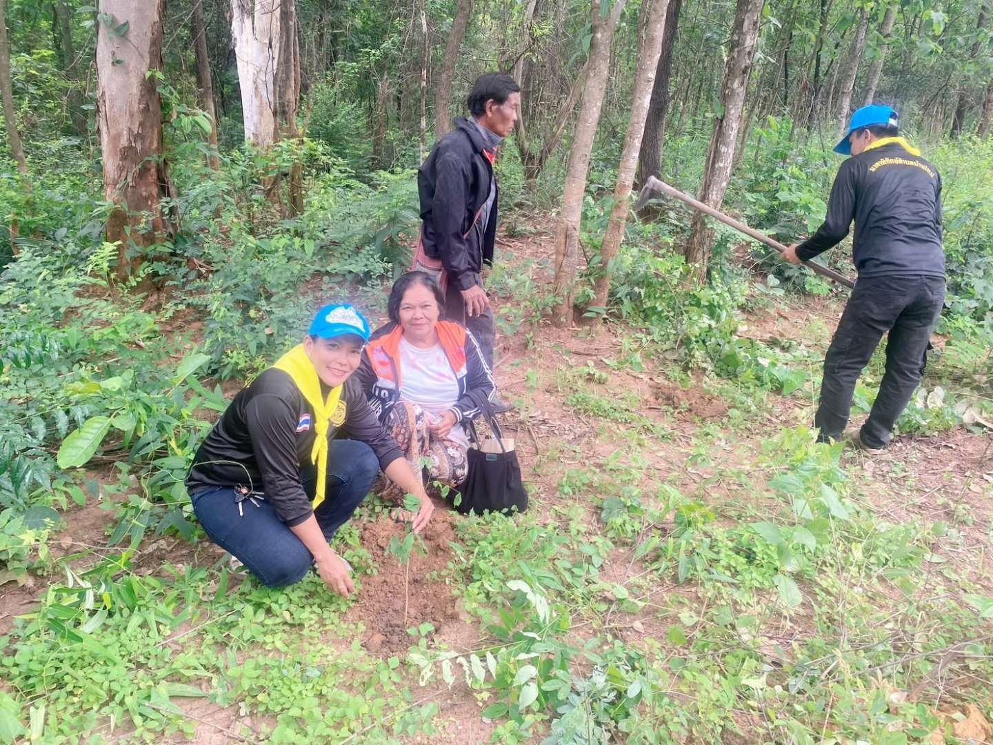 catalogs_file_445_18_46_995659.jpg