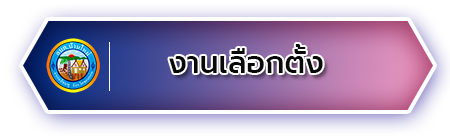 งานเลือกตั้ง